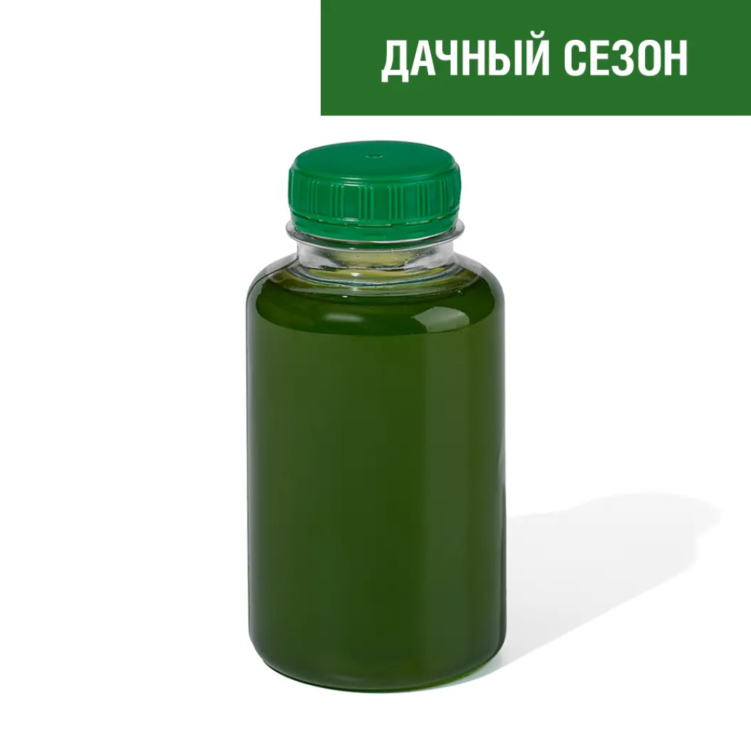 Мама Пицца: Айс-ти с щавелем и лаймом