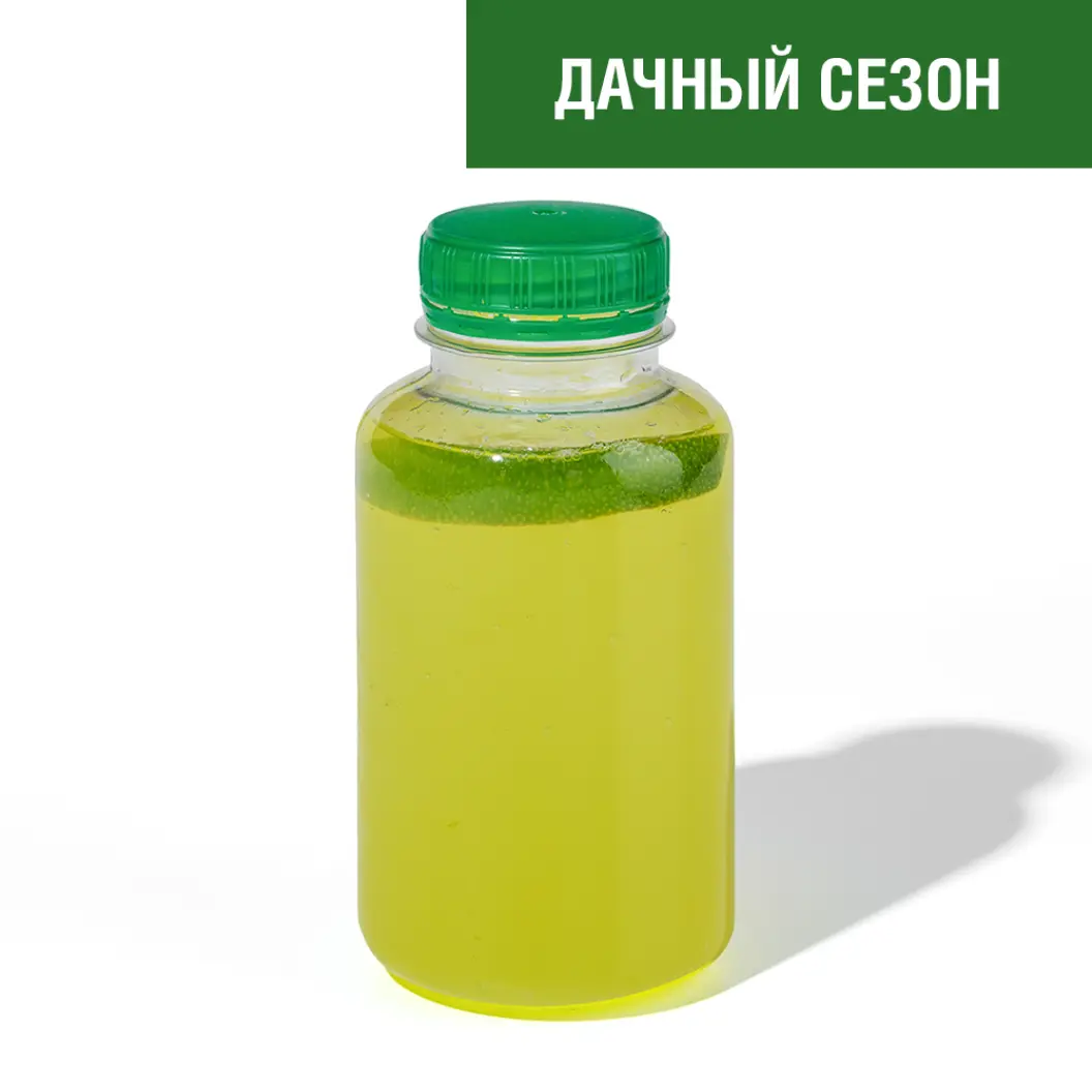 Мама Пицца: Лимонад кактус-лайм